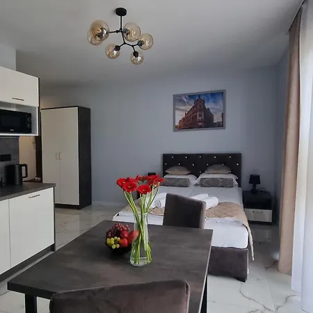 Apartment Hetmanska 4 Katowice