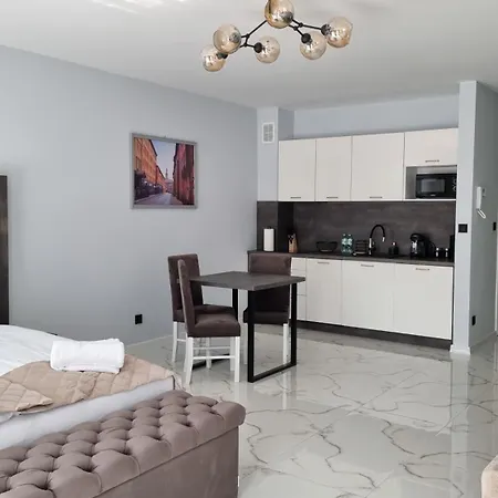Apartment Hetmanska 4 Katowice